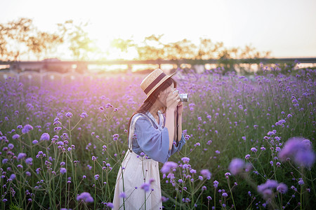 春天的蜻蜓马鞭草花海里的少女背景