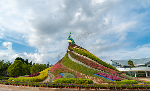 打卡圣地昆明世博园5A级景区背景