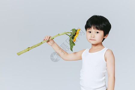 可爱男孩手拿向日葵背景图片