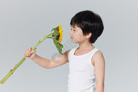 夏日男孩手拿向日葵背景图片