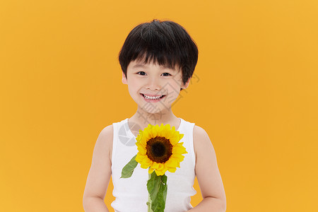 可爱小男孩手拿向日葵背景图片