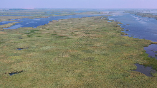 山东东营黄河口国家湿地5A景区自然风光高清图片素材