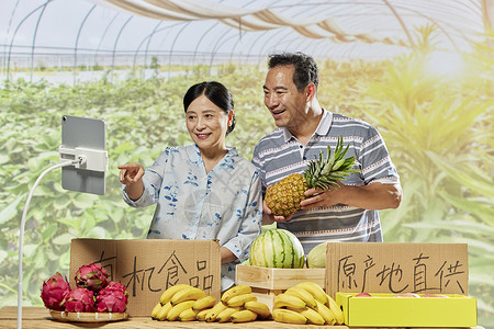 果农夫妻网络直播售卖菠萝背景图片