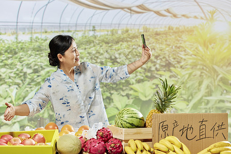 农民阿姨中年阿姨手机直播售卖水果背景