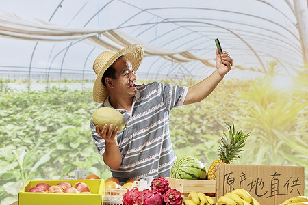 农民手机直播售卖哈密瓜图片素材