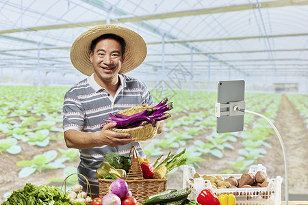 农民伯伯网络直播售卖茄子图片素材