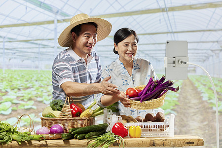 菜农夫妻网络直播售卖蔬菜背景图片