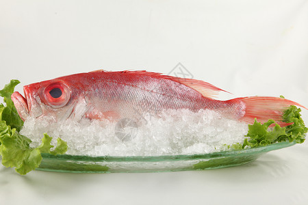 海鱼新鲜盐形目高清图片