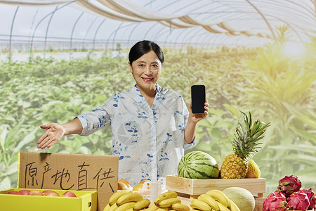 中年女性水果摊拿着手机展示图片素材