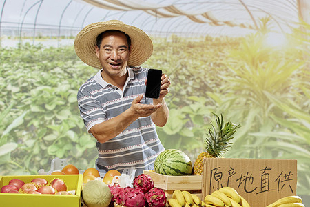 果农水果摊拿着手机展示西瓜高清图片素材