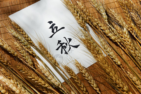 传统古风立秋节气书法图片