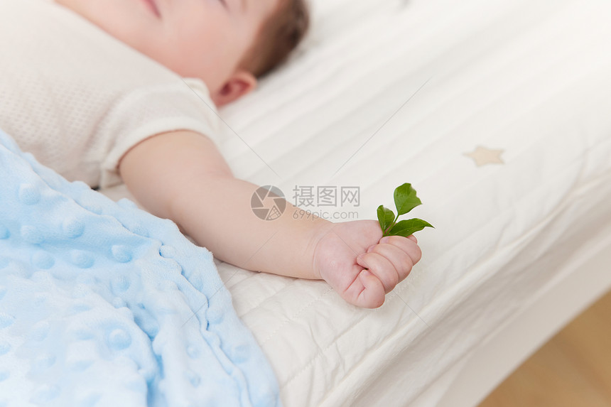睡着的小宝贝手里拿着绿叶图片