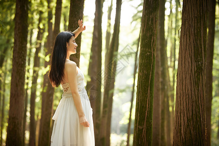 树林里穿白色长裙的女性高清图片
