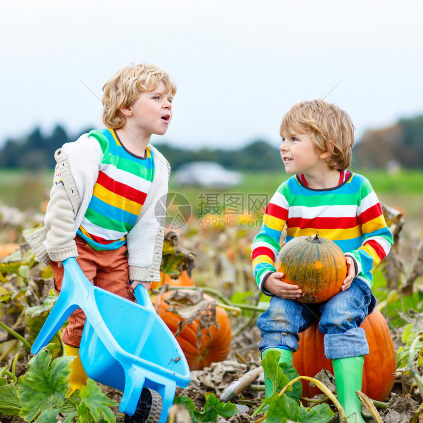 两个小男孩在秋日坐在大南瓜上图片
