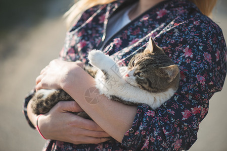 女人抱着可爱的猫咪图片