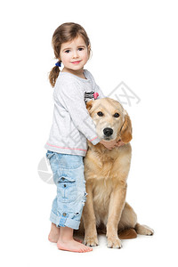 美丽的小女孩拥抱着金色的猎犬小狗孩子和狗图片