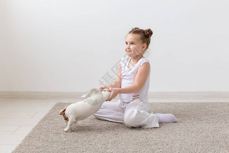 宠物儿童和动物概念由爪子图片