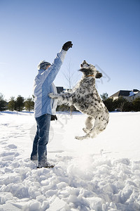 在新雪中和狗玩耍的女孩图片