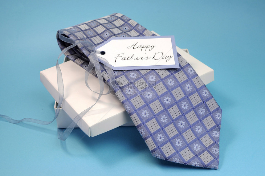 蓝色图案检查领带的父亲节快乐礼物图片