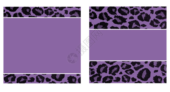 紫色和黑色豹纹纸套装图片