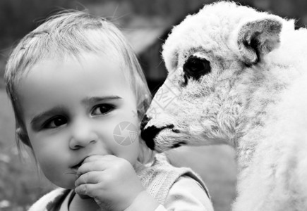 玩羊的儿童图片