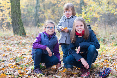 三姐妹在秋天的森林里图片