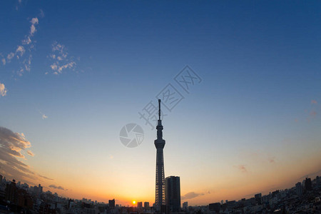 日本的夜景图片