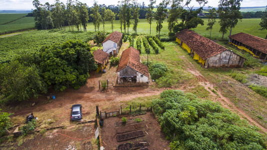 巴西的鸡合作社咖啡种植场图片