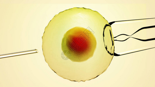 辅助生殖技术人工受精或辅助受精是一种过程设计图片