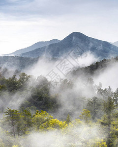 美国田纳西大烟雾山公园覆盖山顶的图片