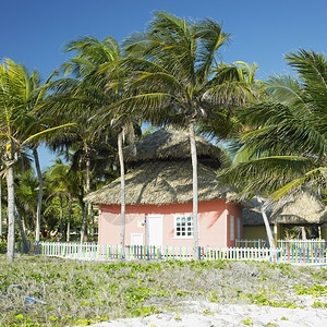 可可岛古巴图片