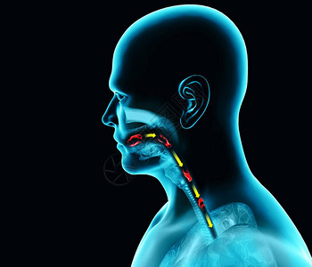 吞咽困难咽部和食管吞咽困难口语阶段的路径设计图片