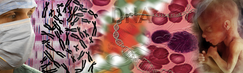 基因DNADNA绘图染色图片