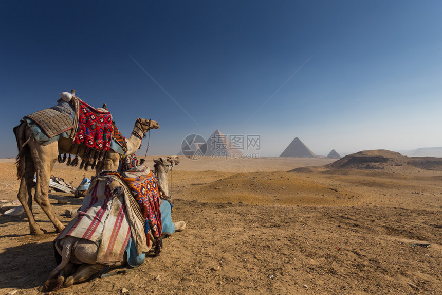 埃及开罗吉萨Cairo图片