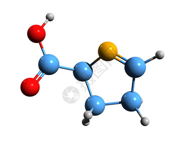 1吡咯啉5羧酸骨架式的3D图像白色背景下分离的环状亚氨基酸的背景图片