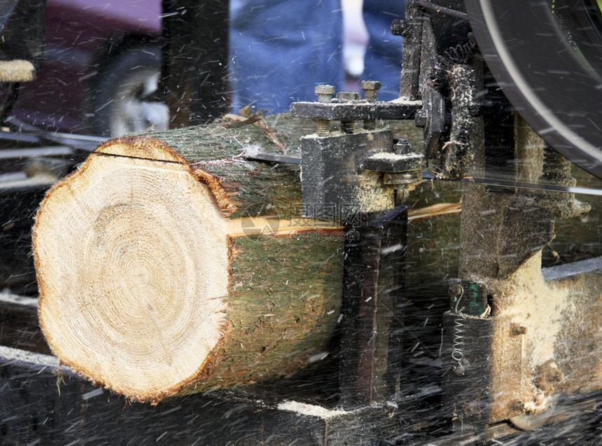 Bandsaw锯木机和树皮看到灰尘飞扬图片
