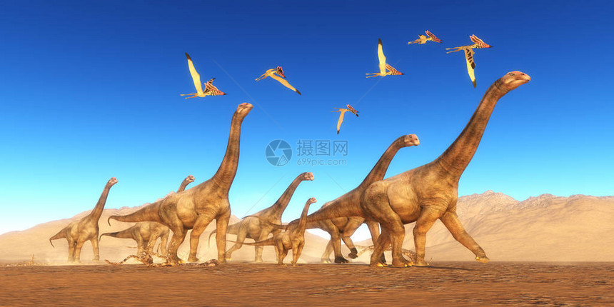 一群塔拉索德罗缪斯爬行动物飞过一群布朗托梅罗斯恐龙图片