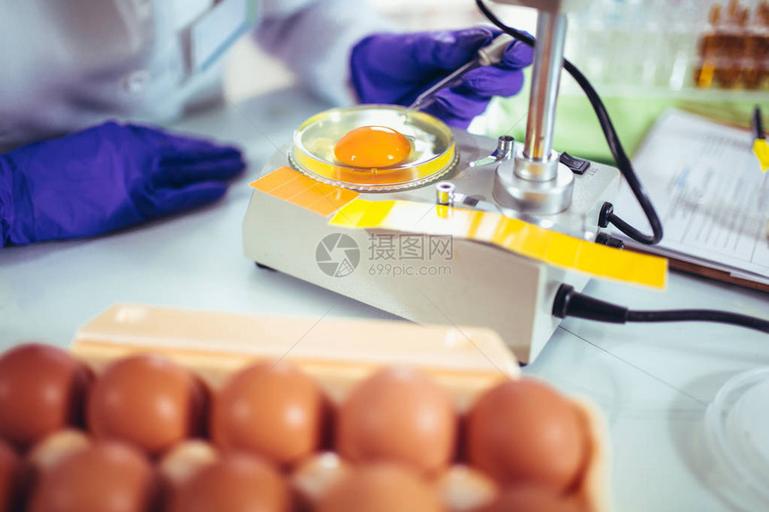 蛋制品研究质量控制加工食品食品质量女控制专家在实验室用显图片