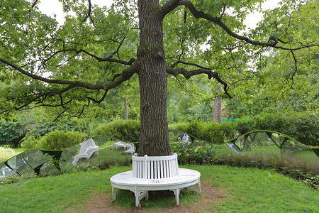 花园或公园里一棵树周围的塑料长背景图片