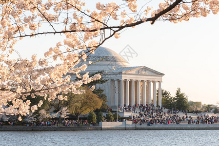 美国华盛顿特区的托马斯杰斐逊纪念堂图片