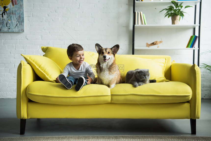 男孩和狗狗一起坐在沙发上