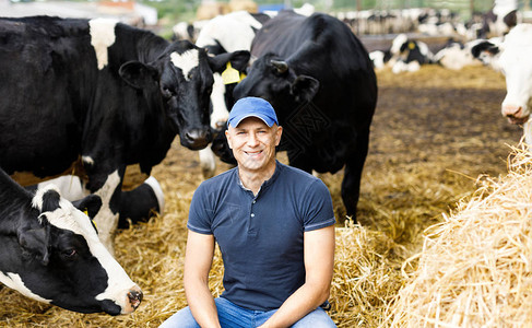 奶牛中快乐的男农图片