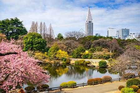 春季时节的日本东京新宿区图片