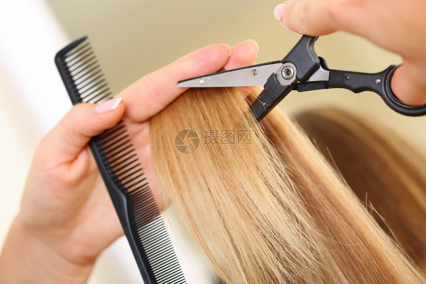 女手持梳子和热剪刀切割长直金发锁特写的技巧美发沙龙理发店完美外观现代技术图片