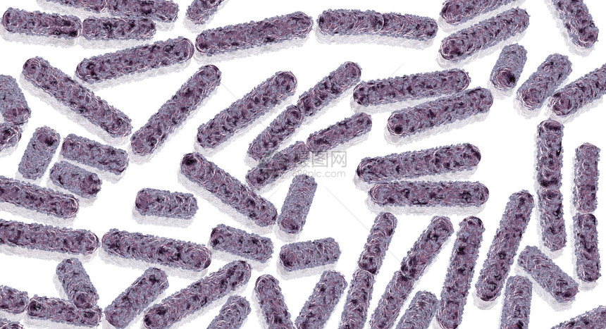 健康科学背景中的大肠杆菌也称为大肠杆菌细3图片