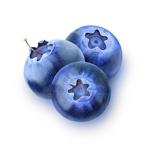 隔绝的蓝莓三根在白背景与剪切路图片