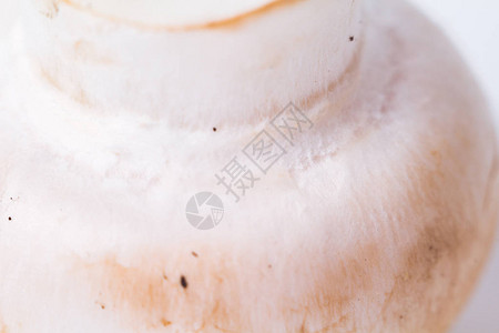 温暖的蘑菇纹理新鲜的香菇背景高级料理香菇宏观纹理非常浅的自由度图片