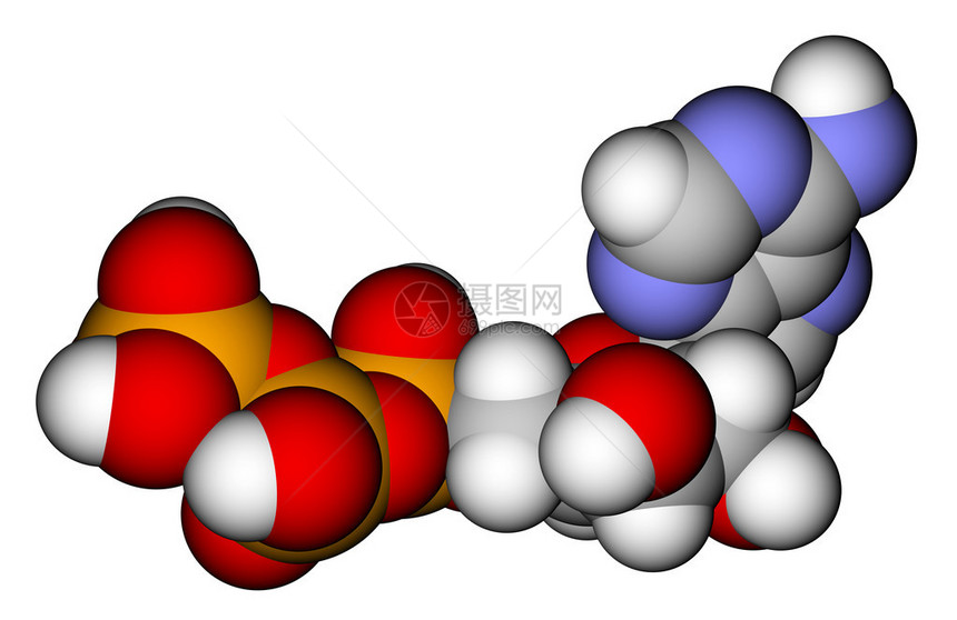 白底三磷酸腺素ATP优化分子图片