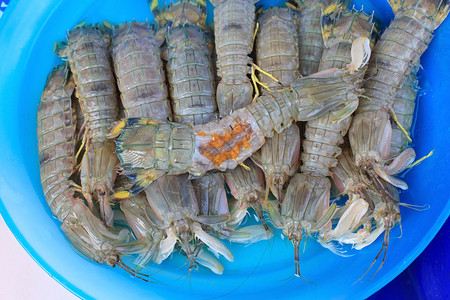 新鲜海产食品市场中的虾龙虾图片