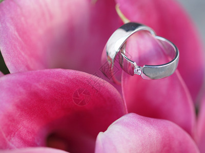 花瓣上的结婚戒指图片